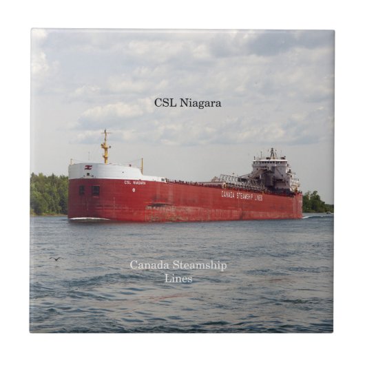 carreau CSL Niagara (Devant)