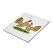 Carreau Cuir épais de Sebrights lacé (Côté)