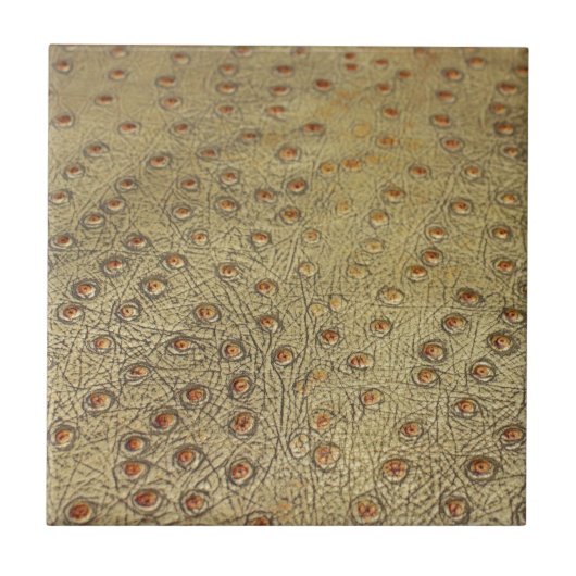 CARREAU CUIR TEXTURISÉ D'AUTRUCHE DE FAUX (Devant)