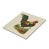 Carreau Cuisine de campagne au coq (Côté)