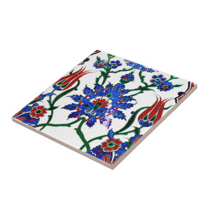 Carreau Cuisine décorative en céramique Tuiles murales