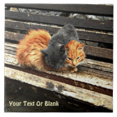 Carreau Cuisses Catnap (Devant)