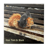 Carreau Cuisses Catnap (Devant)