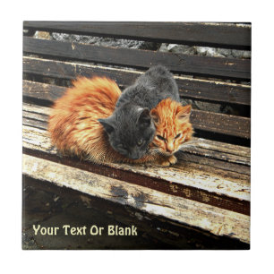 Carreau Cuisses Catnap