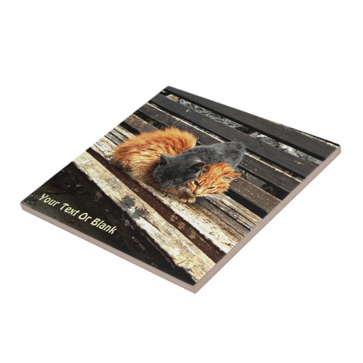 Carreau Cuisses Catnap (Côté)