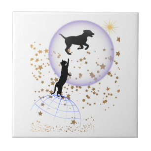 Carreau Curieux chat et chien courant