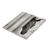 Carreau Curieux Cheval noir (Côté)