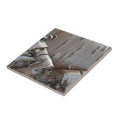 Carreau Curly Birch Bark Tree Rustic (Côté)