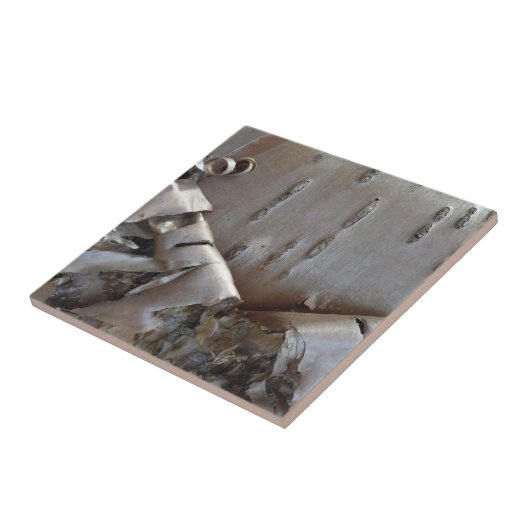 Carreau Curly Birch Bark Tree Rustic (Côté)