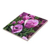 Carreau Curly Sue Purple Tulips, Oregon (Côté)