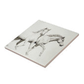 Carreau Customisez un cheval (Côté)