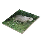 Carreau Cute Blanc Fluffé Manger Carrelage (Côté)