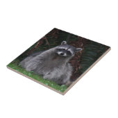 Carreau Cute Forest Raccoon Photo Faune (Côté)
