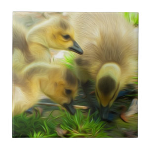 Carreau Cute Gosling