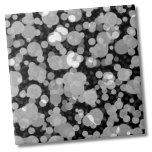 Carreau Cute moderne Noir Cercles Blanc Polka Motif point<br><div class="desc">Carrelage en céramique Motif Polka Dot Cercles Noirs Modernes. Tout le monde adore un motif à pois de polka ! Celui-ci a une bulle ou des lumières regardent vers lui ! Que vous souhaitiez utiliser ce carrelage comme petit dessous de verre ou trivet pour boire un verre ou une assiette......</div>
