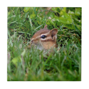 Carreau Cute Peeking Chipmunk Animal