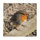CARREAU CUTE ROBIN (Devant)