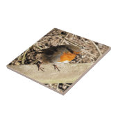 CARREAU CUTE ROBIN (Côté)