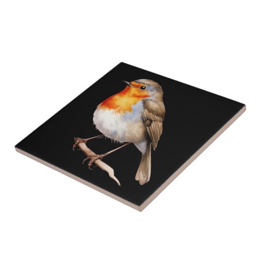 Carreau Cute Robin (Côté)