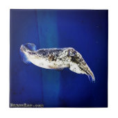 Carreau Cutter (Devant)