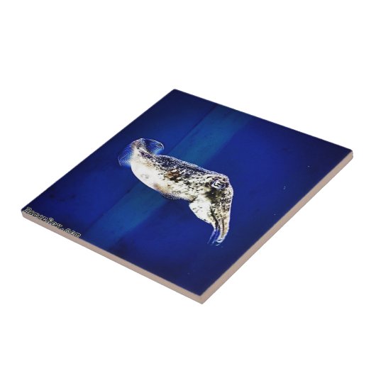 Carreau Cutter (Côté)