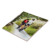 CARREAU CYCLISME (Côté)