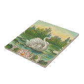 Carreau Cygne (Côté)