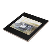 Carreau Cygne paisible. . . (Côté)