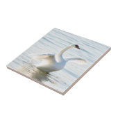 Carreau Cygnus cygne blanc (Côté)