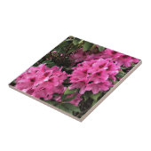 Carreau Cynthia Rhododendrons, Oregon (Côté)