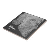 Carreau Cyrus le grand (Côté)