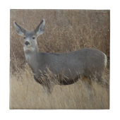 Carreau D14 Mule Deer Doe (Devant)