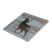 Carreau D15 Mule Deer Buck (Côté)