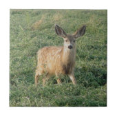 Carreau D19 Mule Deer Fawn (Devant)