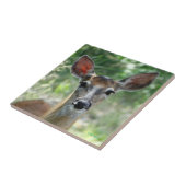 Carreau D33 White-tailed Deer Doe (Côté)