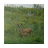 Carreau D5 Mule Deer Doe et Fawn (Devant)