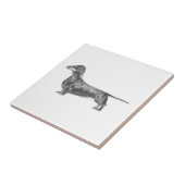 Carreau Dachshund (Côté)