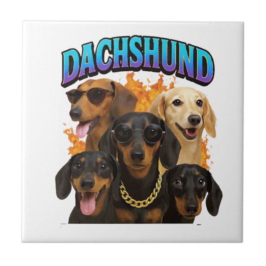 Carreau Dachshund (Devant)