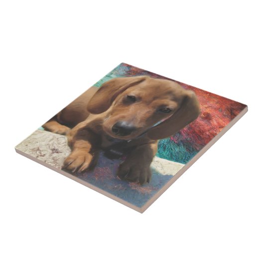 Carreau Dachshund - Art Chien - Peinture - Portrait d'Anim (Côté)