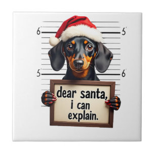 Carreau Dachshund drôle de Noël Cher Santa Je peux expliqu