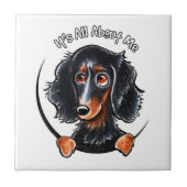 Carreau Dachshund Longhé noir Tan IAAM (Devant)