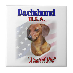 Carreau Dachshund USA