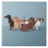 Carreau Dachshunds (Devant)