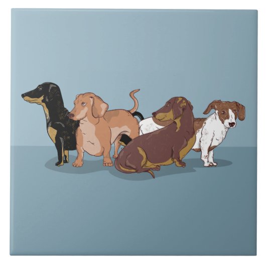 Carreau Dachshunds (Devant)