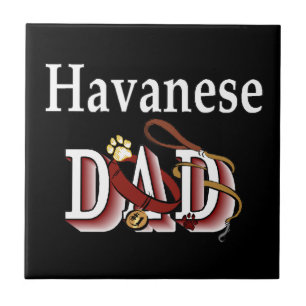 Carreau DAD Havanais
