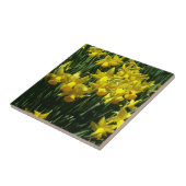 Carreau Daffodiles Jaunes I Fleurs De Printemps Cheveux (Côté)