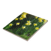 Carreau Daffodiques de printemps (Côté)