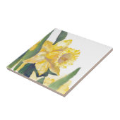 Carreau Daffodiques de printemps (Côté)