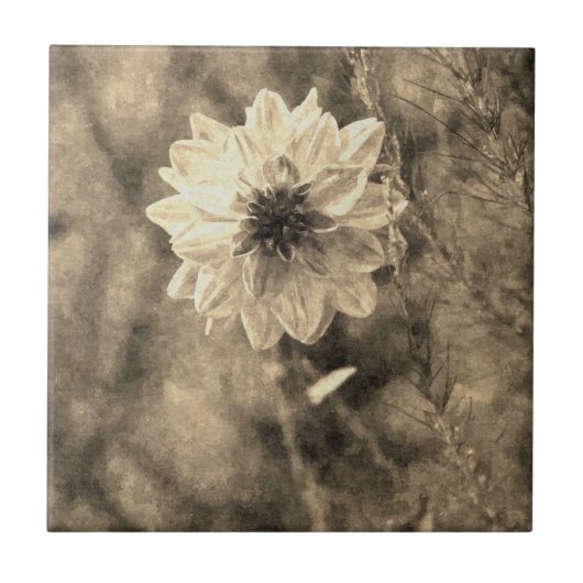 Carreau Dahlia (Devant)