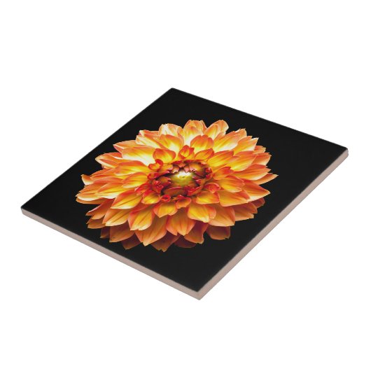 Carreau Dahlia (Côté)